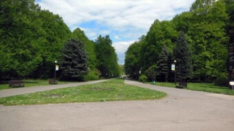 Preparations for the May weekend, more running around at home - My Actifit Report Card: April 26 2024