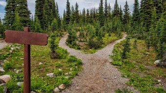 Carve Your Path.
