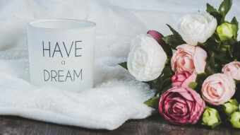 Why Do We Need To Dream?