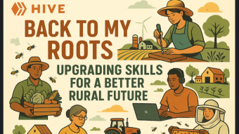 The Best Investment? Upgrading Yourself with Practical Skills