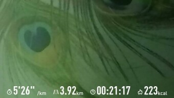 third cold & short run