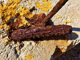 Rust, My Precious!