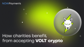 How do charities benefit from Volt Inu token?