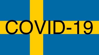 The risk of dying from covid 19 in Sweden based on age and country of birth.