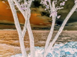 TrippyThursday: Dead Planet