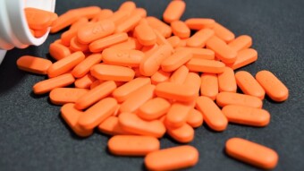 4 Simple Ways To Orange Pill Someone This Weekend