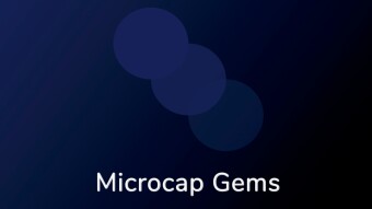 Microcap Gem Hunters