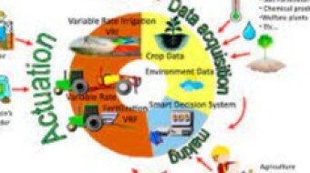 The potential of using Blockchain in Agriculture and Food Delivery Chain.