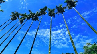 LANDSCAPE/SEASCAPE PHOTOGRAPHY CHALLENGE