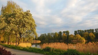 It's getting fabulous and nice - spring! - My Actifit Report Card: May 5 2023