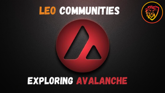 Leo Communities: Exploring Avalanche