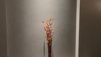 Less is more in Japan