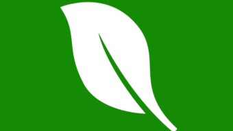 Now is the time, plant trees, save the environment.