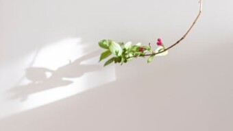 Loneliness again