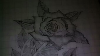 Art is the one kind of language of the mind.