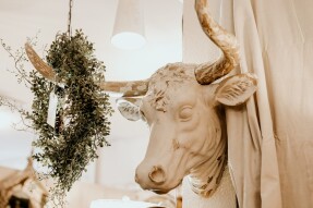 Cardano is on a Hiring Spree - A Sign that Gives Me More Confidence in the Project