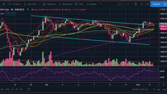 Has bitcoin hit resistance as whales take profit at the ATH?