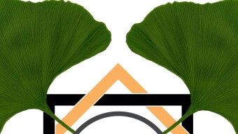 Article 1#                                                                                                                Yoga : What’s beyond the occidental eyes ?