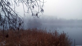 Monday's Half Marathon in Fog and Twilight - My Actifit Report Card: December 1, 2025