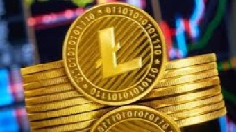 It's the perfect time to purchase Litecoin