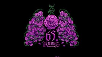 🌹 65 Roses® The “65 Roses” story dates back to 1965 when an observant 4-year-old $65Roses