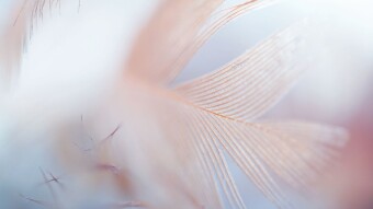 Need help from the Angels? Do this one thing!