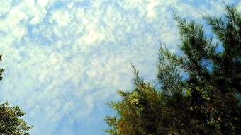 Natural photography