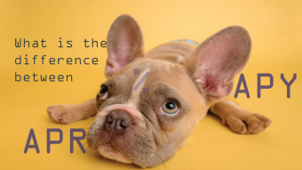 APR v APY. What is the difference?