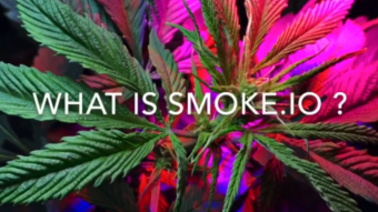 Contest: Crazy for Crypto and Cannabis Video to win 4,200 Smoke Crypto Currency on Smoke.io