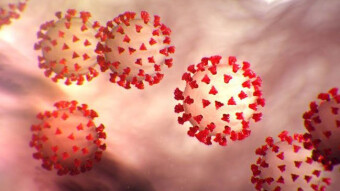 Is the Coronavirus Causing the Value of Bitcoin to go up?