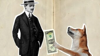 Shiba Inu Activated on Lending Protocol Euler, Allowing SHIB Holders to Earn Interest