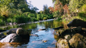 Trip to Portugal - Couce #5