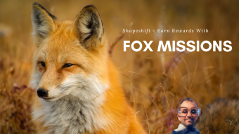 I Entered The FOX Missions From ShapeShift By Minting My FOXatar NFT