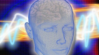 10 fun facts about the human brain