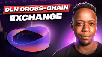 DLN (deSwap Liquidity Network) Platform Review