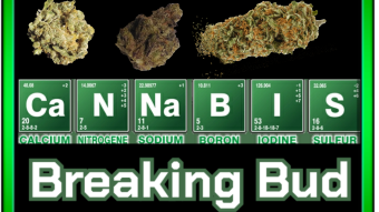 Four Twenty Fungibles (weed NFT)