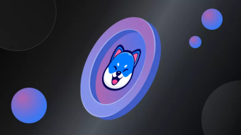 What is Vita Inu (VINU): The Light-Speed Meme Coin with Real-World Utility