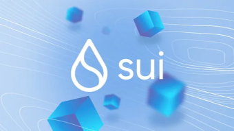 Airdrop Guide: Sui Permanent Testnet!