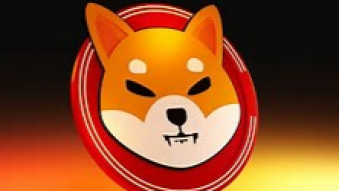 Shiba Inu has become a riskier investment