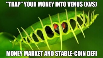 Exploring Venus (XVS): Setting Binance Smart Chain (BSC) Wallet on Metamask