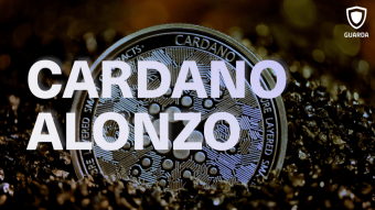 Cardano Successfully Launches Alonzo Hardfork