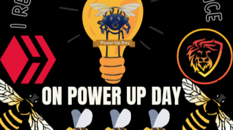 On Hive Power Up Day 🐝🐝, I reviewed my July Performance