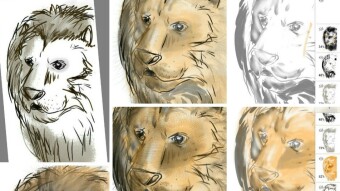 Catsketch#