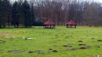 Walk in the park and play gardening - My Actifit Report Card: January 28 2023