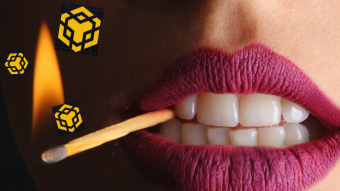 All About BNB Burning