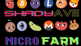 Introduction to Rollercoin