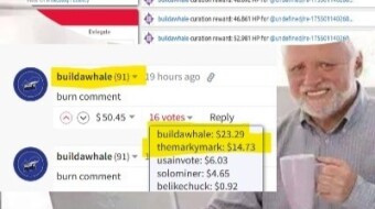 The AcidYo scam farm Network: A Deep Dive into Hive Manipulation, Delegation Rings, and Reward Exploitation (November 1, 2025)   By the Bilpcoin team  — Exposing Truth, Not Hiding It acidyoscam acidyofarm