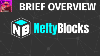 VG Brief Overview and First Impressions about NeftyBlocks