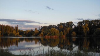 Spring or autumn sunset? - My Actifit Report Card: June 12 2024
