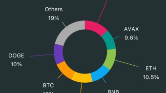 100$ Split Into Top 10 Cryptocurrencies  Every Week. Week #15
